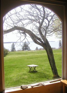 Picture Window View